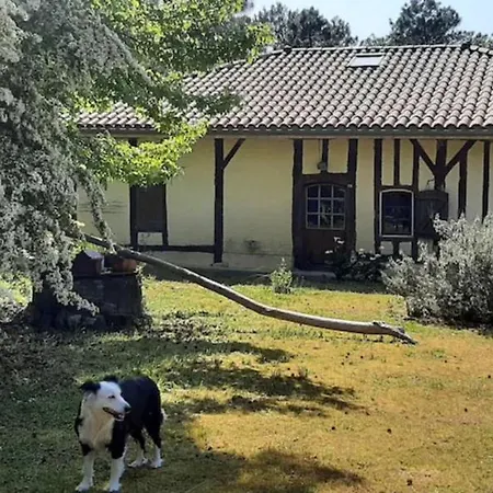 Tatil Evi Grande Maison Proche De Hossegor *